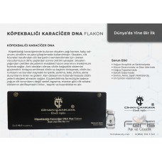 Titanyum serisi Köpekbalığı Karaciğer DNA Plus Flakon 